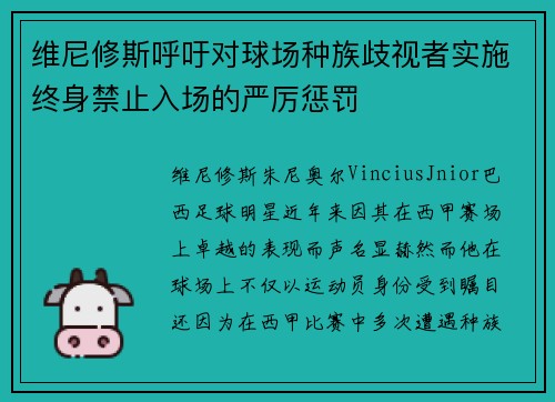 维尼修斯呼吁对球场种族歧视者实施终身禁止入场的严厉惩罚